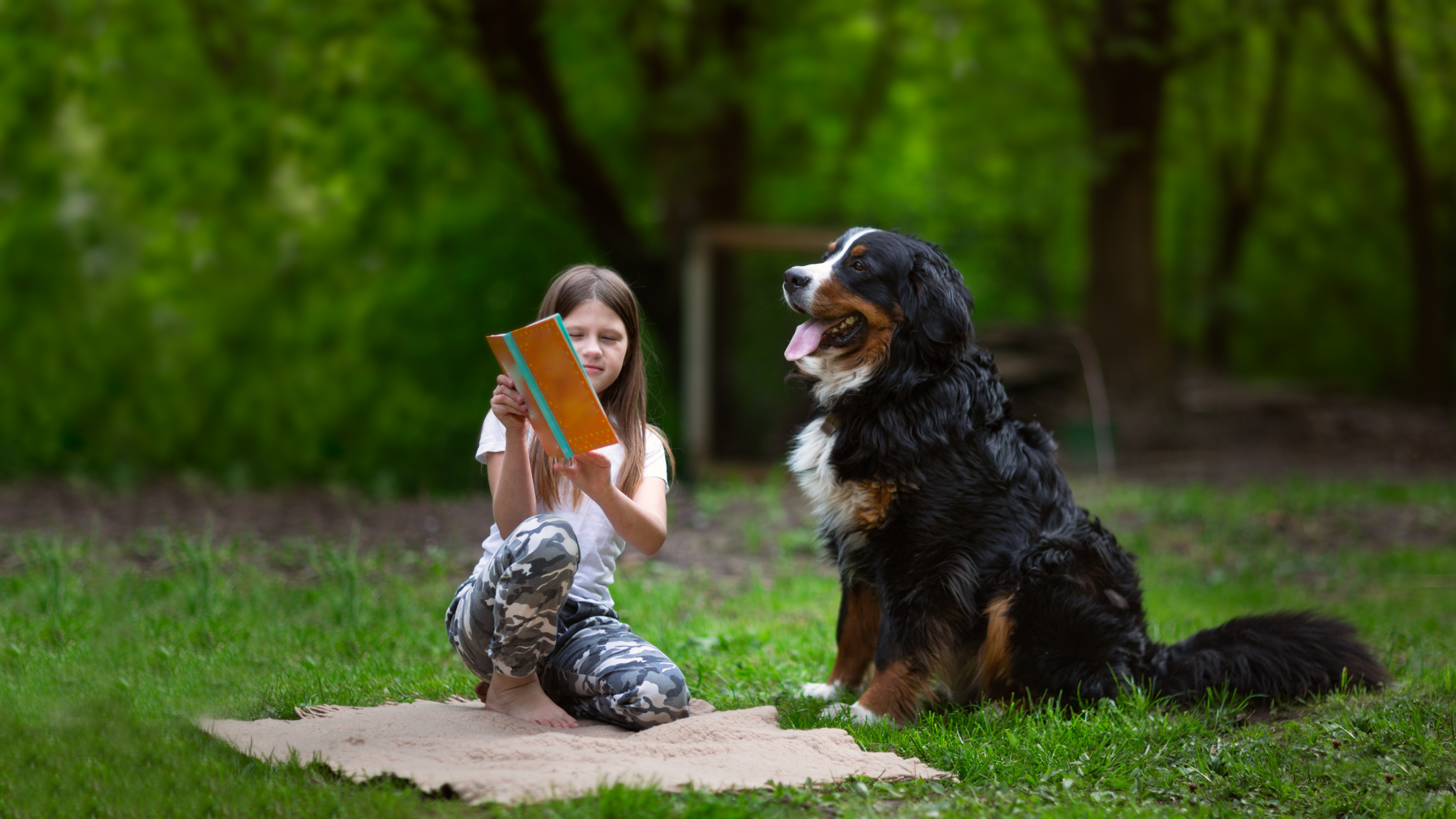 Wie Tiere als Co-Pädagogen das Lernen bereichern